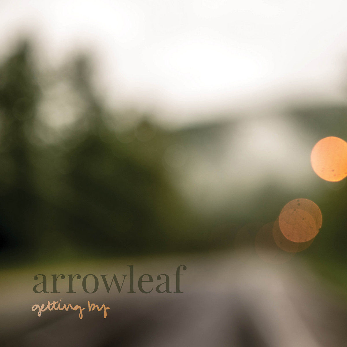 Arrowleaf